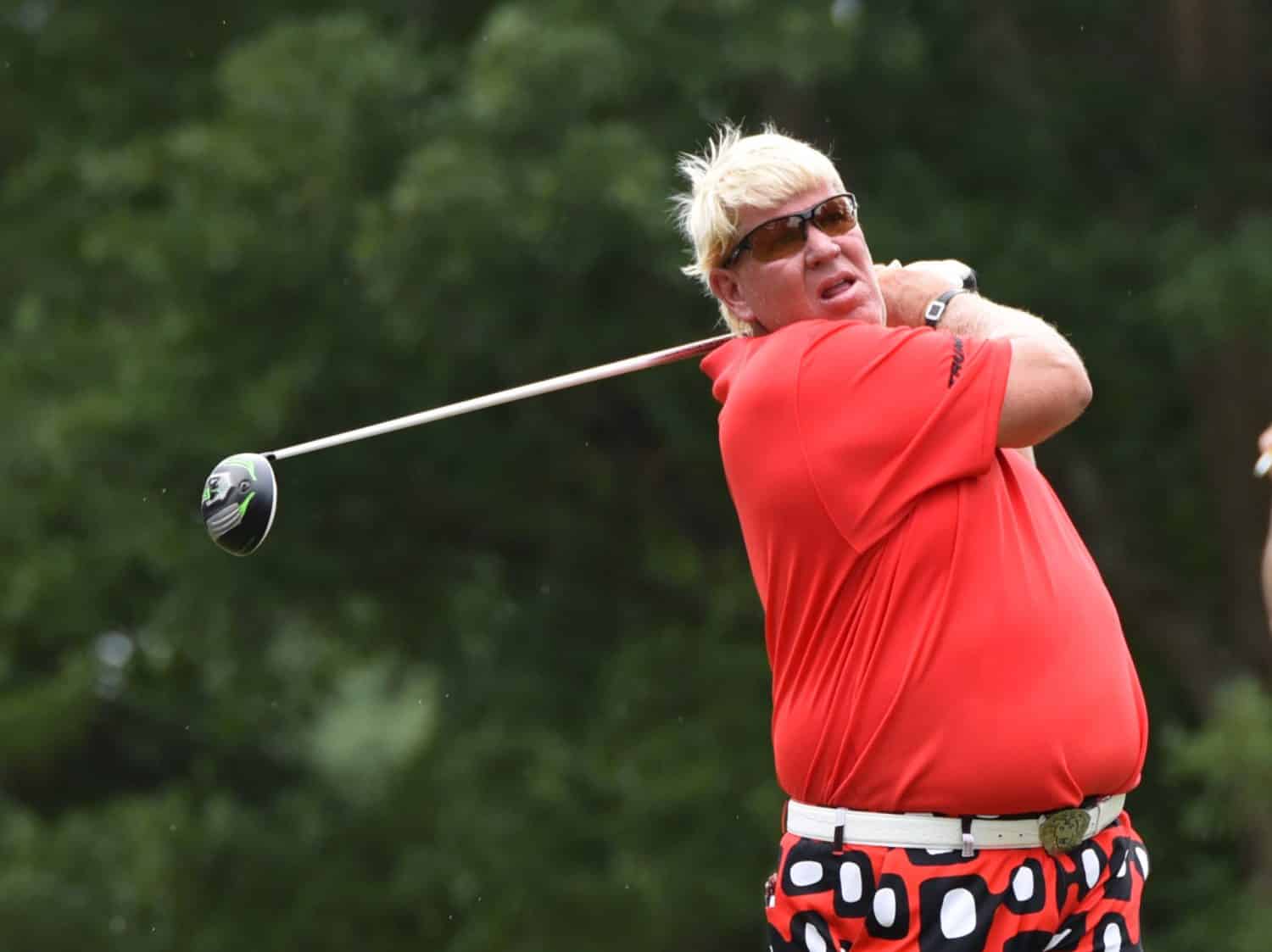 john daly net worth